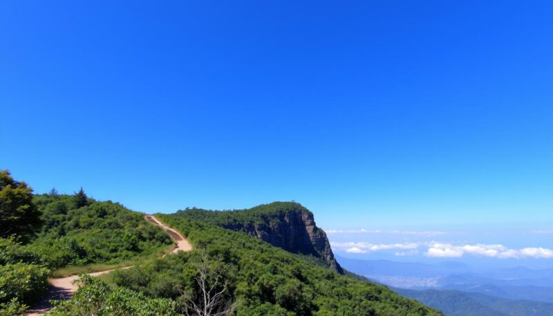 smeštaj na Tari smeštaj na Tari